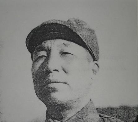 儿子|他是岳飞的儿子，也是南宋一位猛将，但结局却比父亲还要凄惨