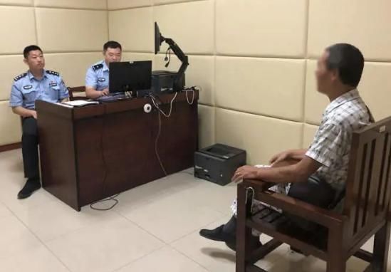  家犬|18年家犬一朝遭遗弃，遇车祸奄奄一息！狗主人被传唤处罚