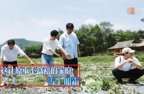  未熟|《向往4》许光汉摘掉未熟西瓜，节目组打出14字救场？难怪没被骂！