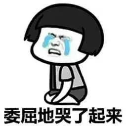 调解|偷狗的把狗主人告了，“他是因为你家狗死的”