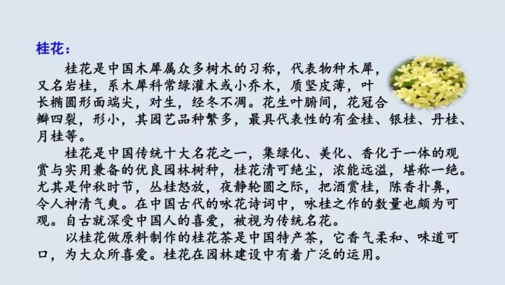 桂花|【预习】部编版五年级语文上册第3课《桂花雨》图文讲解