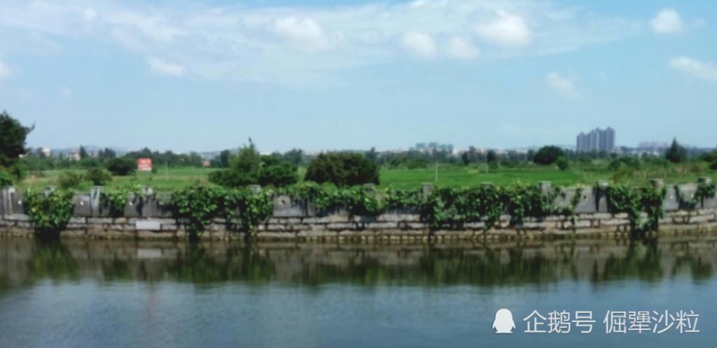 发生|农村又新出一种现象，比“娶妻难”还怪，只发生在适婚男青年身上