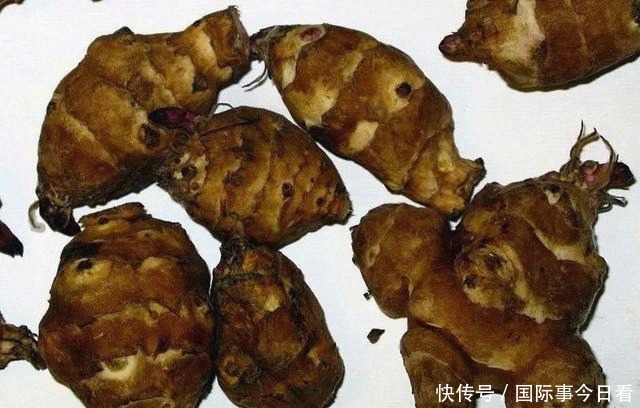 猪饲料|从女王的餐桌到猪饲料,只经过了十几年