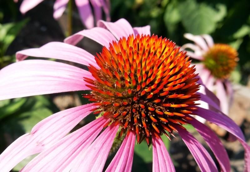  求财|9月第一周，事业风生水起，运势翻倍涨，求财得财的四大生肖