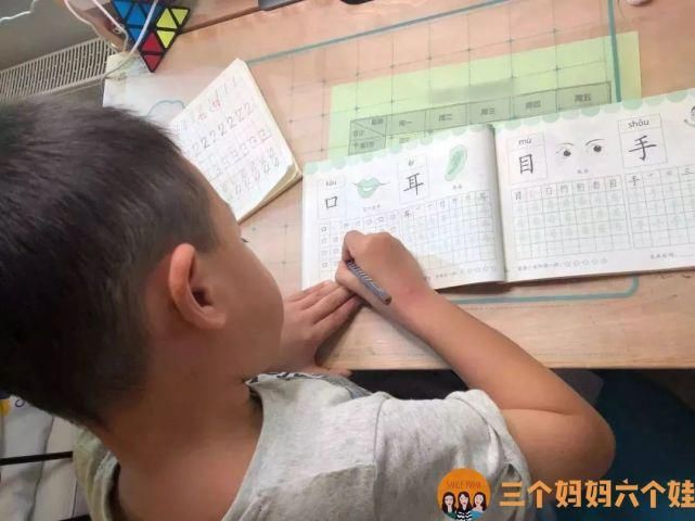  学习|小学看家长，到底看什么？