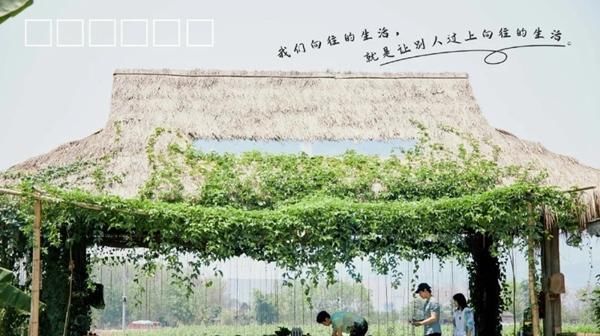  收视率|首播收视率就打破纪录，这是给《向往的生活4》的掌声和嘘声