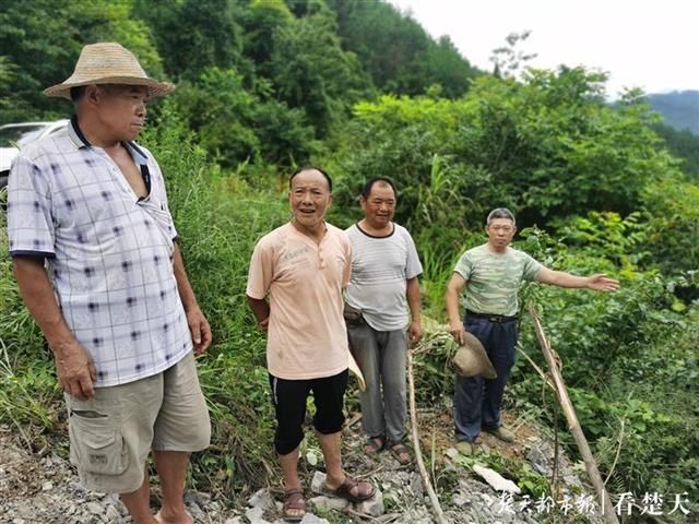  山崖|小车摔下百米山崖司机卡在山腰，大义村民镰刀劈树砍出生命之路