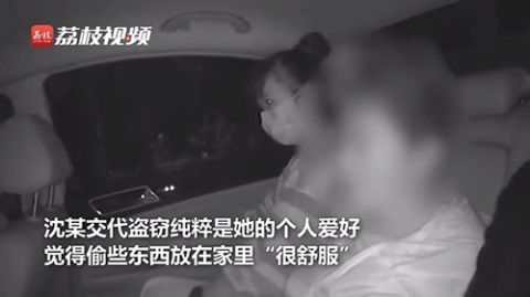 上海|阿姨办上海迪士尼年卡多次入园盗窃:称是个人爱好,已被刑拘