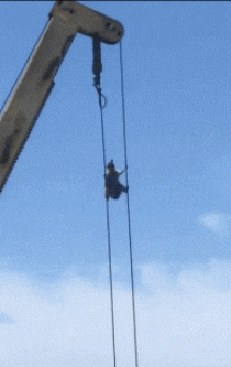 机会|搞笑GIF:别说我没有给你机会啊