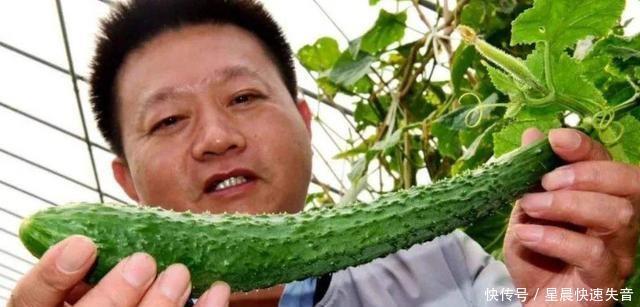  黄瓜|如果你吃不完黄瓜，就把他们放在冰箱里是不对的，我来教你个窍门