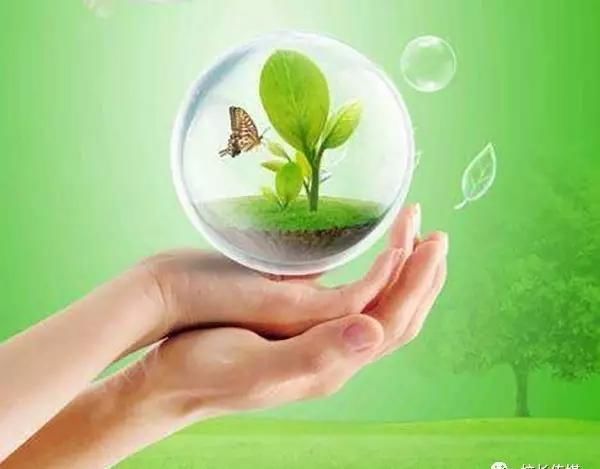  生命|对孩子的生命和死亡教育，必须尽早抓起