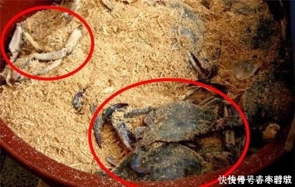 海鲜市场|在韩国买螃蟹,螃蟹不在水里,而是埋在木头里,这是什么原因呢