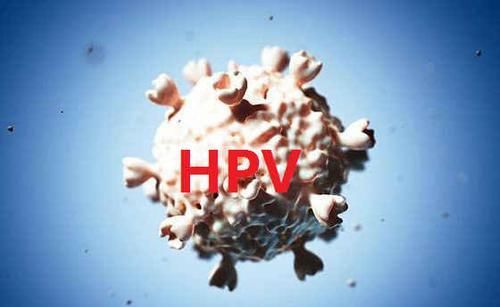 高峰|HPV病毒发病高峰的2个年龄段，女性要仔细看看，警惕宫颈癌