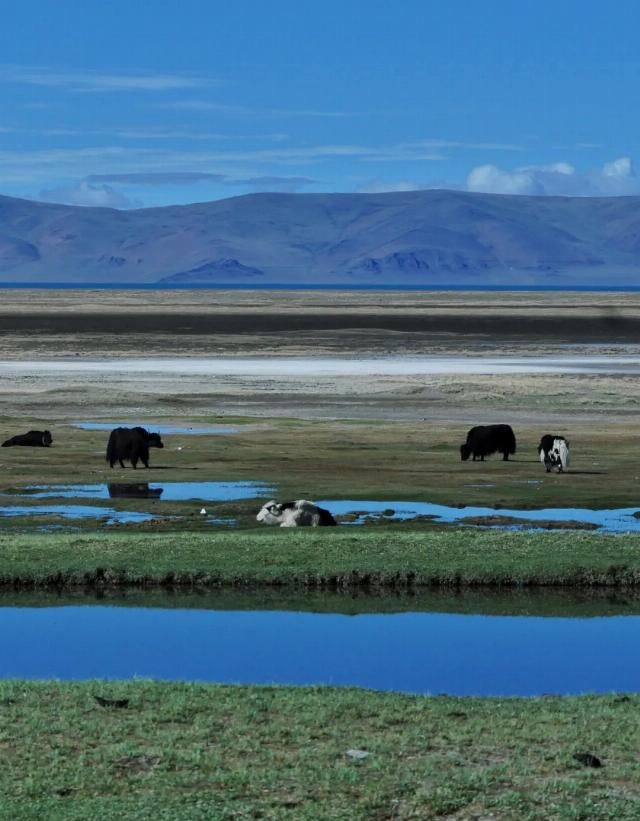 想象|不必远赴澳大利亚就能拥有的粉红湖、空中草原,西藏之西比想象中更惊艳!