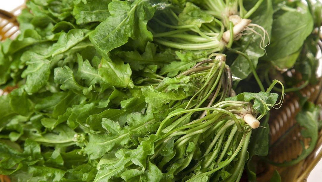  抗菌|此菜消炎抗菌，与鸡蛋同食治疗头痛，点燃熏患处治慢性湿疹