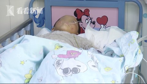  野生|4岁男孩上山采蘑菇 把一条毒蛇当成了野生菌...