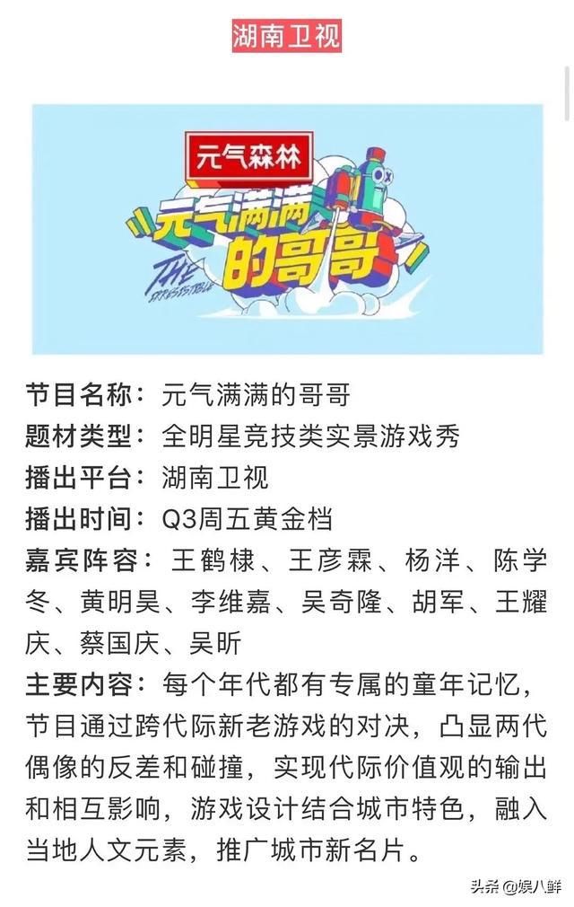  元气|《元气满满的哥哥》：意外之喜，又一档国产“王牌综艺”火了