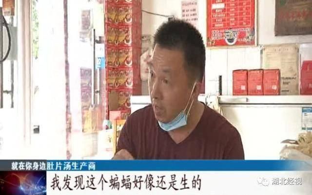  老板|汤里吃出整只蝙蝠！武汉一家人紧急做核酸检测……