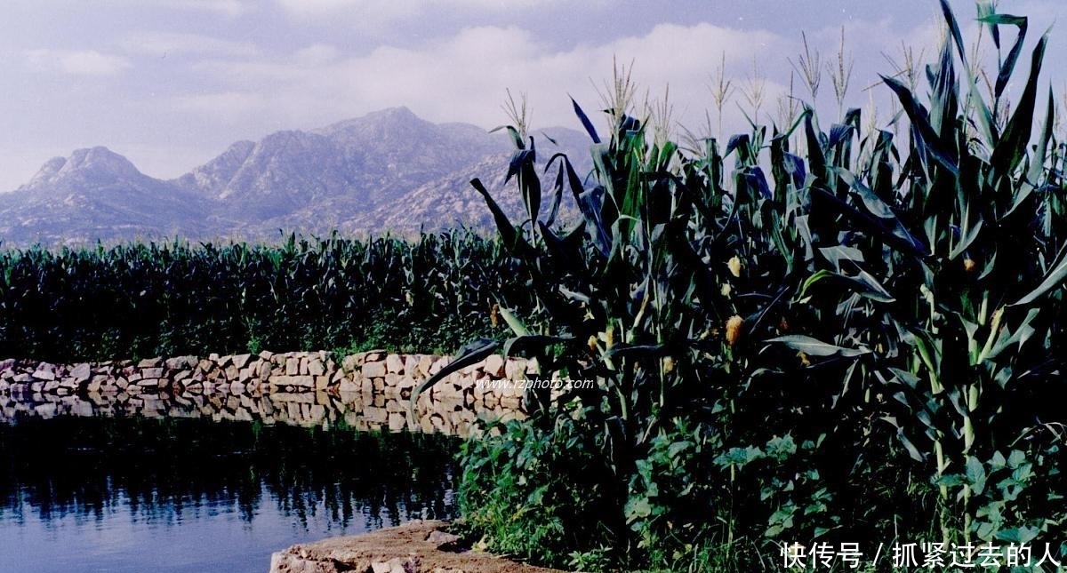 城市|三十年后农村的大爷大娘,周围的人都不认识了,还有必要回去吗?