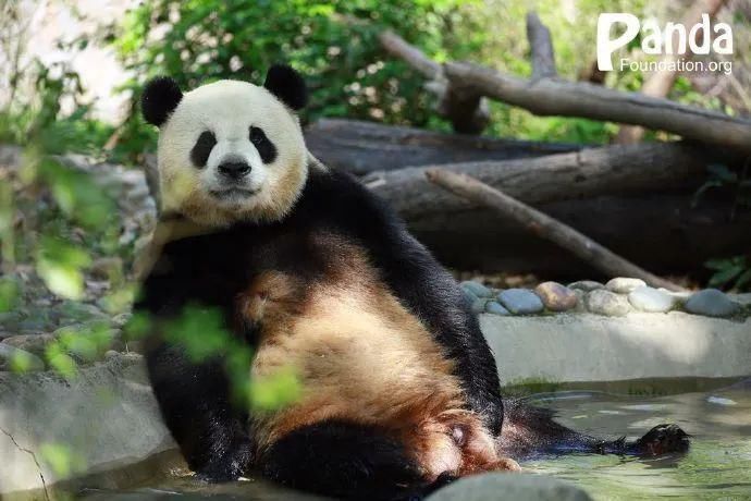 故事|出彩“滚滚” | 你有你的“三十而已”,我们的三十又是另一个故事~