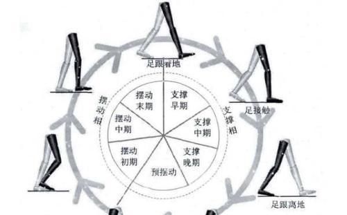  走路|你还在为腿粗而烦恼吗？如何拥有“筷子腿”？这里告诉你答案！