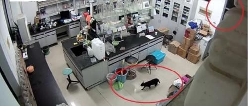 博士|搞科研真难啊!浙江农科院博士的一箱有毒实验材料被村民盗走,还差点被误食……