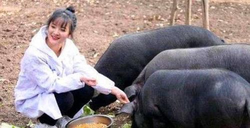 不顾|不顾家人反对，毕业回村养猪的女孩，3年过去了，现在过得怎么样