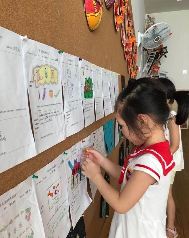  种植园|「园所动态」“我为种植园取名字”——诺亚舟和庄幼儿园