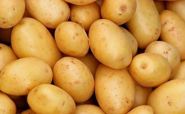  学会|才知道保存土豆有技巧，学会这么做，土豆放一年也不发芽不腐烂！