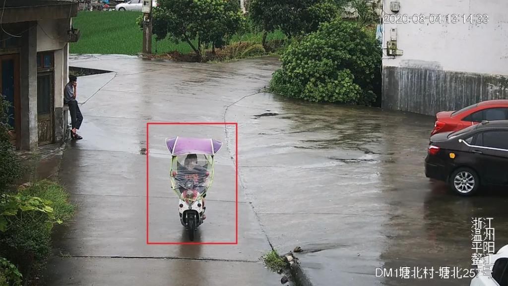  平阳|平阳一女贼刚出监狱又重操旧业