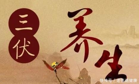 三伏天多吃三肉二瓜(三伏天心烦气躁，宜吃2肉2瓜，顺肠胃不上火，精力充沛度苦夏)