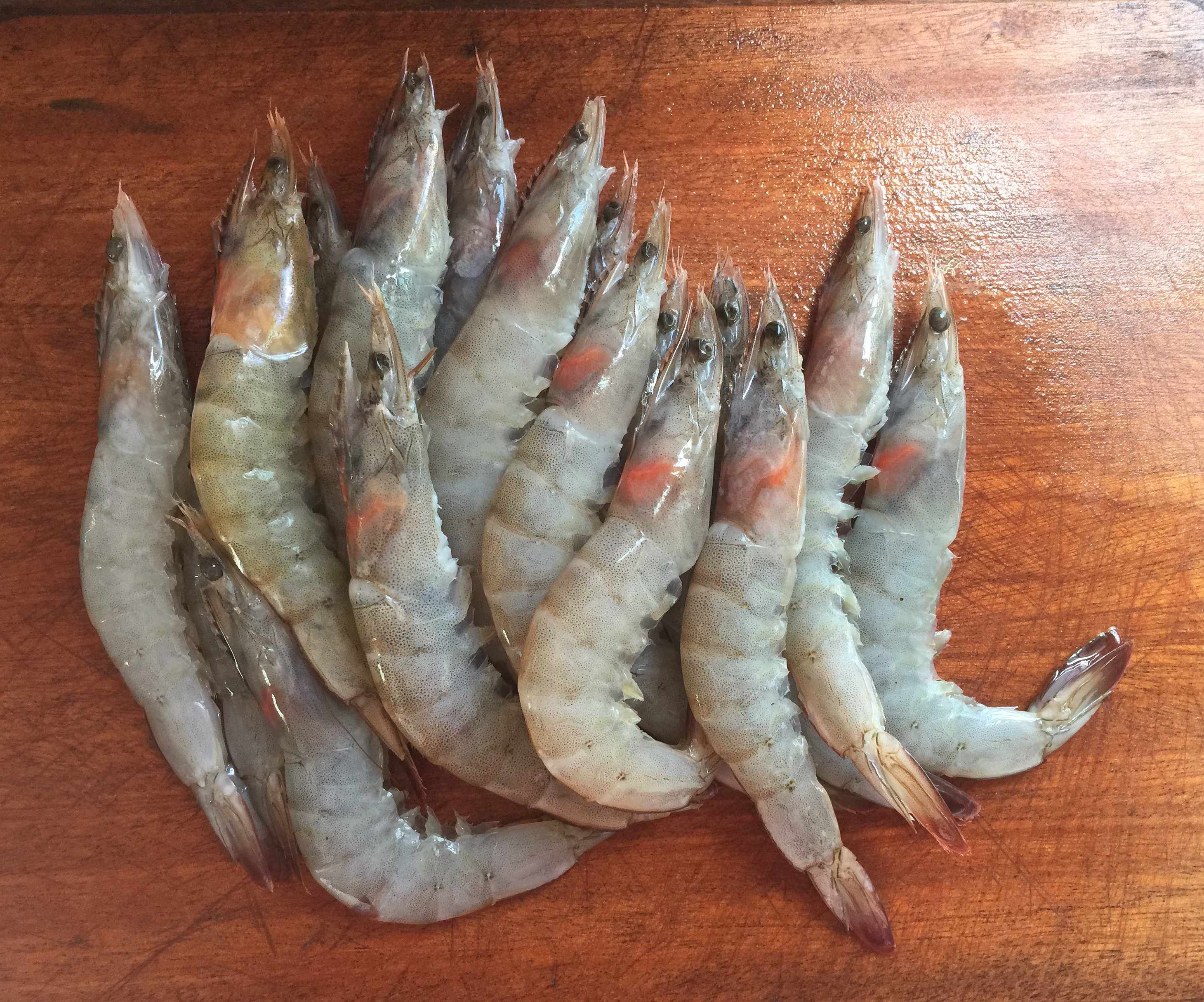 不剩|入秋后,吃鸡吃鸭不如多吃这肉,鲜美易消化,烧一盘连汤汁也不剩