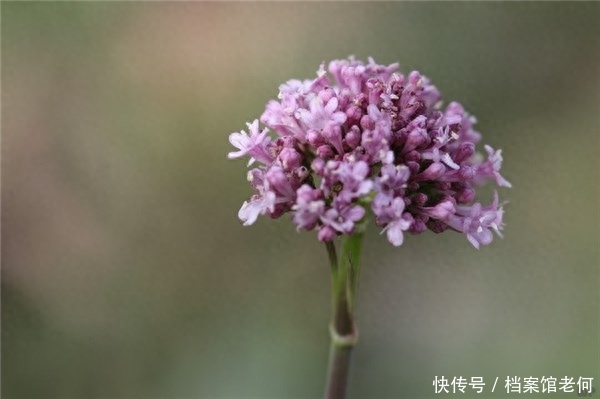 人到中老年，营养比运动更重要？有3条养生秘诀，长寿老人的经验2023