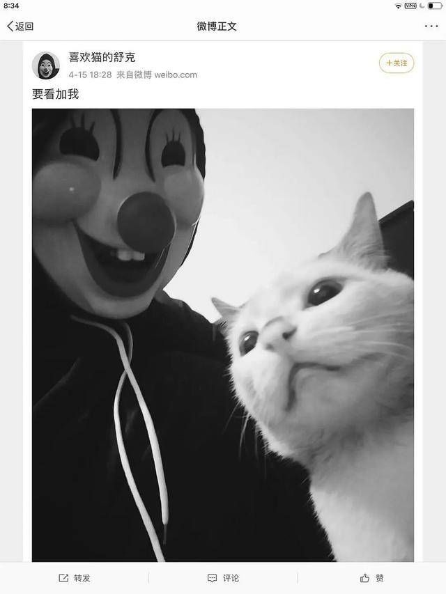 虐杀|大学生残忍虐猫：我家有钱我牛B！被退学后仍旧直播虐杀猫