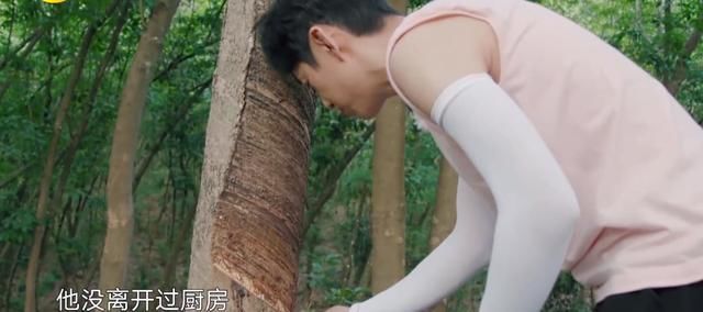 关系户|亮点不断!《向往的生活》迎来最强关系户,盼了三期,何炅终圆梦