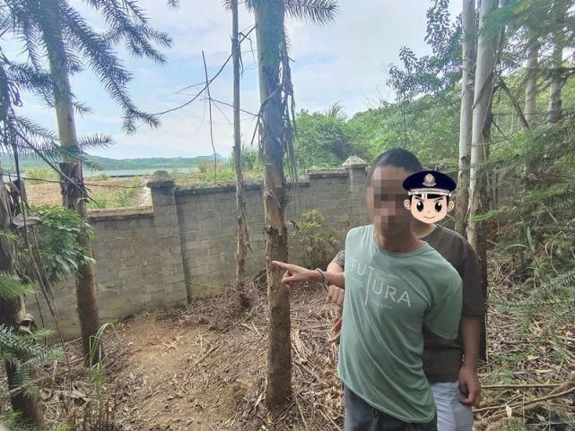  团伙|偷猪变抢猪，70头种猪连夜运走，这个盗窃团伙太嚣张了…