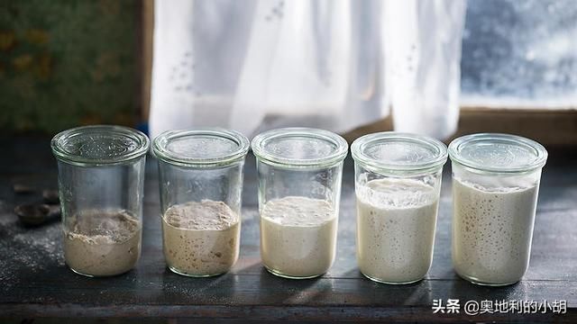  外国人|老面面包为什么更健康？外国人这么喜欢老面酸面包，原因很简单