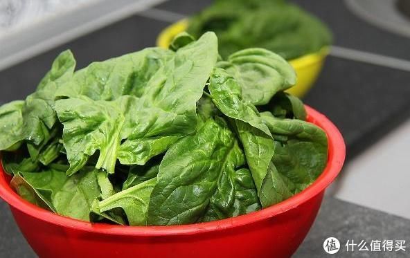 下锅|5元一斤,下锅还不够1人吃,烫火锅时少不了!