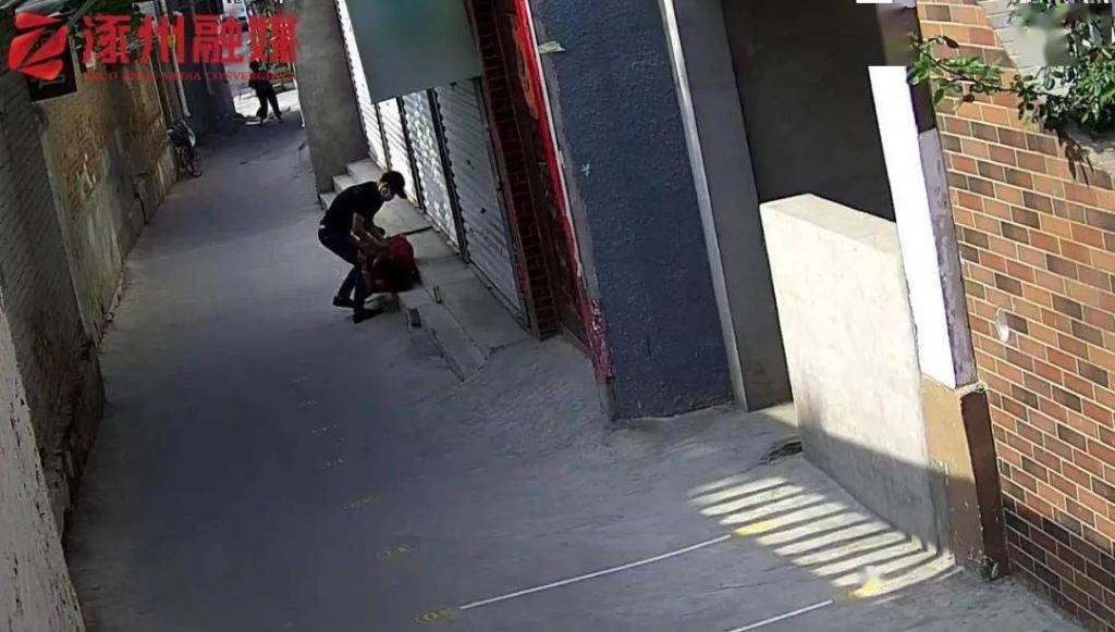犯罪嫌疑人|猖狂！背街小巷！他专挑这样的目标下手……落网了！