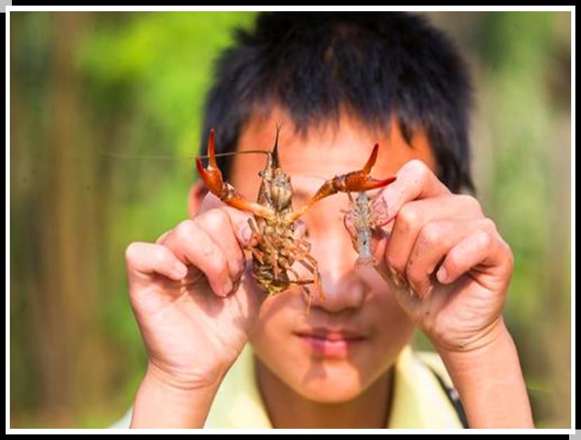 偷盗|一个天生聋哑的农村男人，一生浓缩为三件事：吃睡、干活、偷盗！