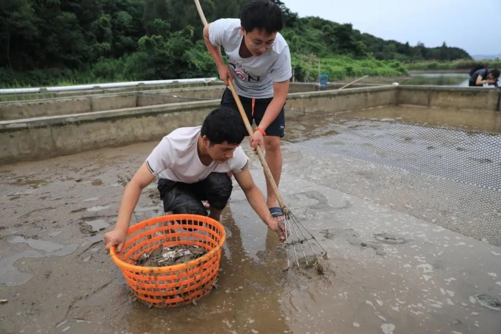  高质|梭子蟹“秋苗夏收”,有望在禁渔期产出高质蟹，期待不？