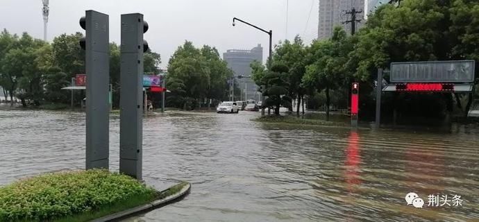  暴雨|下雨天淌水走路，稍不注意会染上这种病毒！