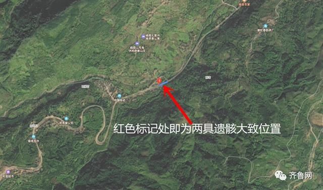  树林|四川峨眉山一树林惊现两具遗骸，警方通报：系自缢身亡
