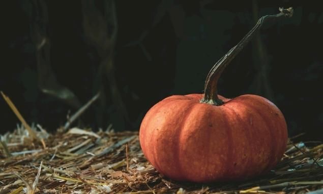 南瓜|便宜又常见的南瓜竟然有这么多好处，以前真是小看它了！