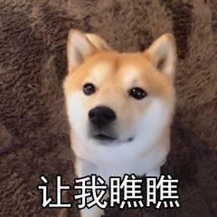 景宁|失踪135年，珍稀植物“湿地玉凤花”重现景宁