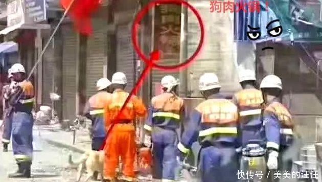 伤口|女孩被压废墟无法救援，警犬不顾伤口拖出女孩，让人感动！