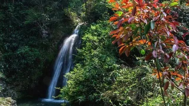  南平|南平 | 这五个25°C的古村落，又美又凉爽~