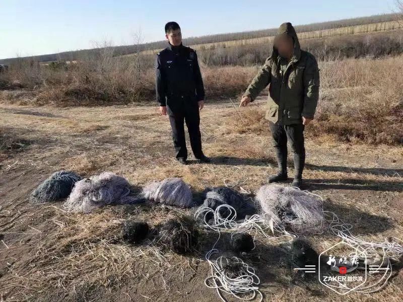 男子|判刑还罚7.4万!“好这口儿”男子还想吃鸟肉不……