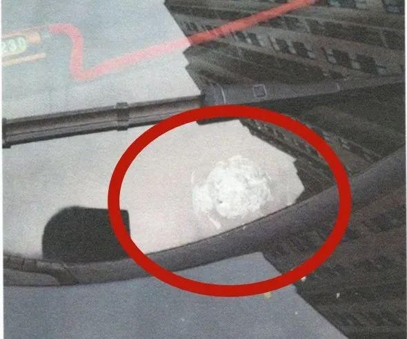 男子|青浦一男子将自己“弹”进了看守所,凶器竟然是…