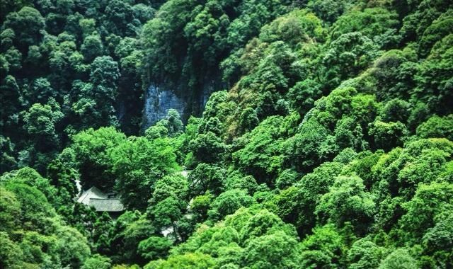  炽热|话说二十四节气 | 大暑：清心静气消暑纳凉 让我们一起经历生命最炽热的温度